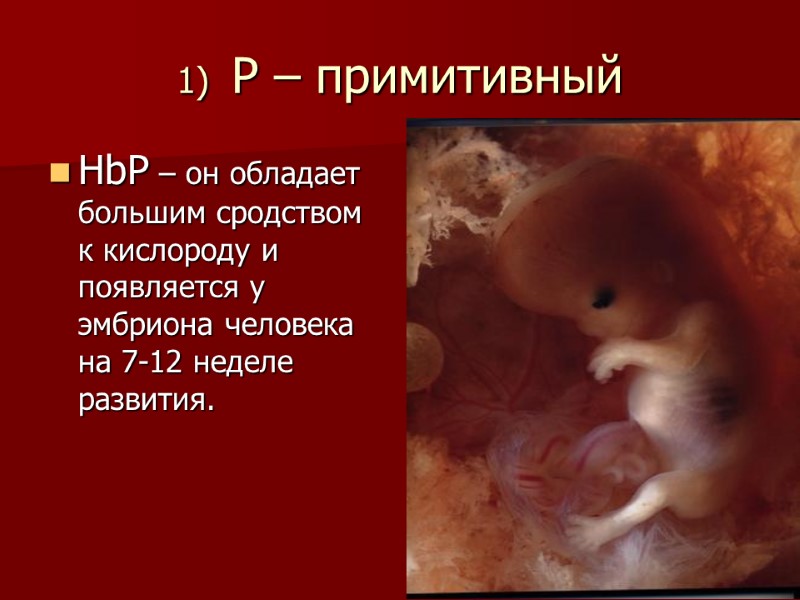 1)  Р – примитивный  HbР – он обладает большим сродством к кислороду